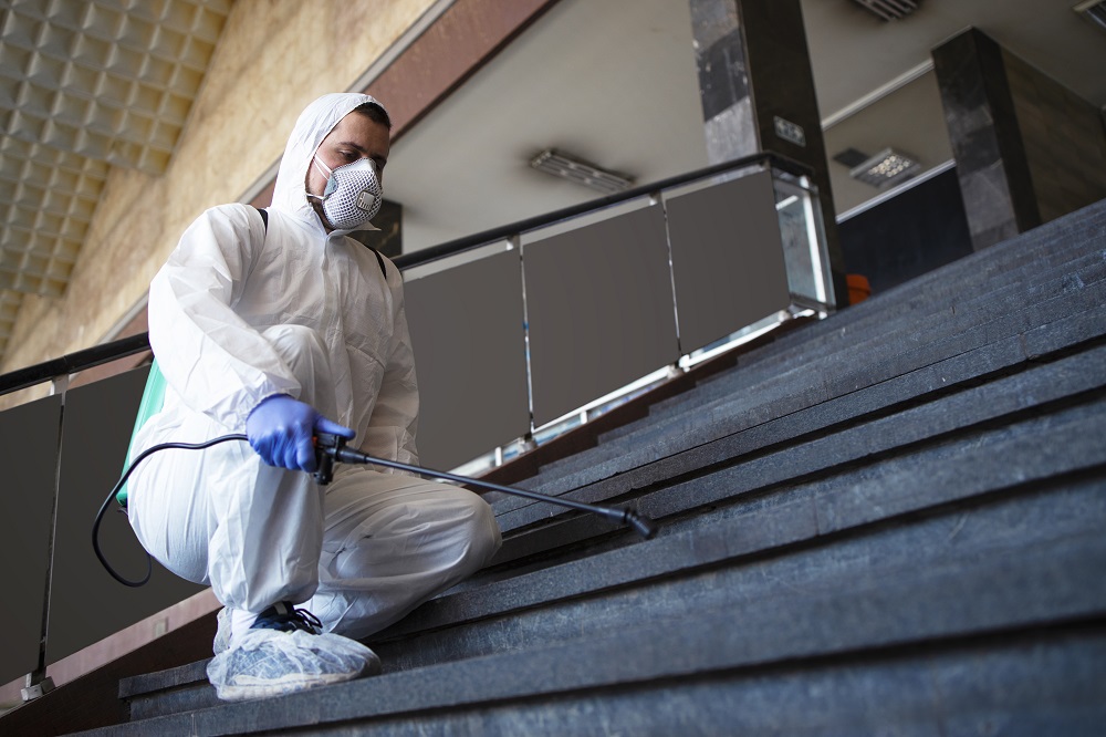 Houston’s Top Pest Control Services and Industry Leaders